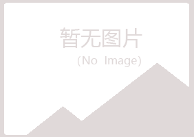 山阳区岑迷工程有限公司